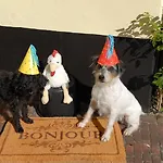 Nocleg ze śniadaniem Boutique Bonjour 4*