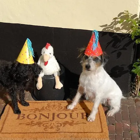 Oda ve Kahvaltı Boutique Bonjour 4*