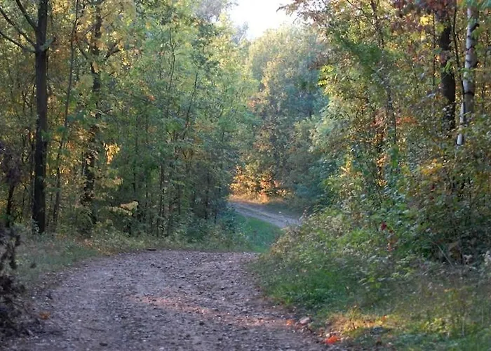 Boutique Bonjour Oda ve Kahvaltı Gronsveld