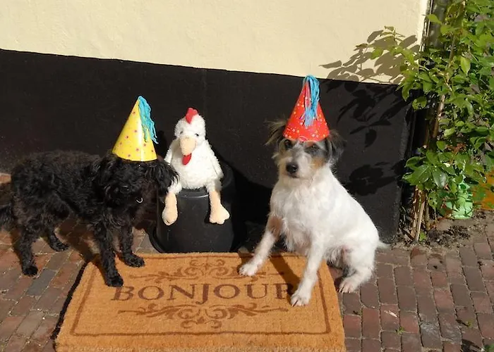 Bed & Breakfast Boutique Bonjour 4*