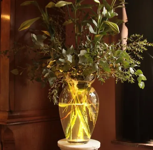 Boutique Bonjour Gronsveld