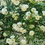 Boutique Bonjour Bed & Breakfast 4*