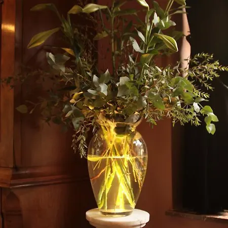 Boutique Bonjour Gronsveld